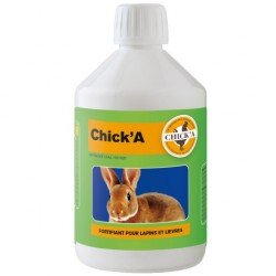 Chick'A Fortalecimiento de conejos y liebres