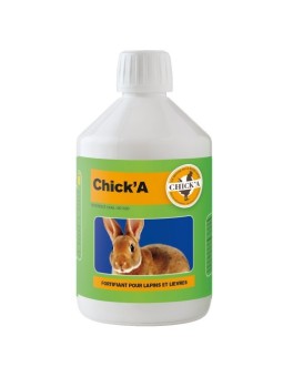 Chick'A Fortalecimiento de conejos y liebres