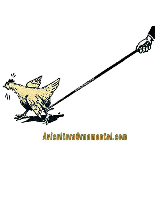Gancho de captura de aves de corral