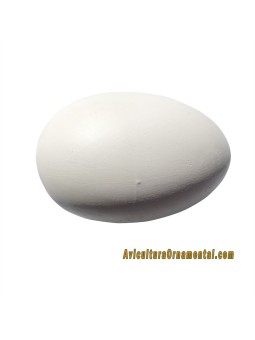 Huevos falsos de oca o ganso