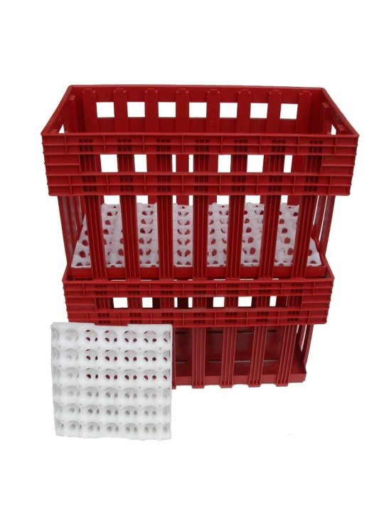 Caja transporte de huevos