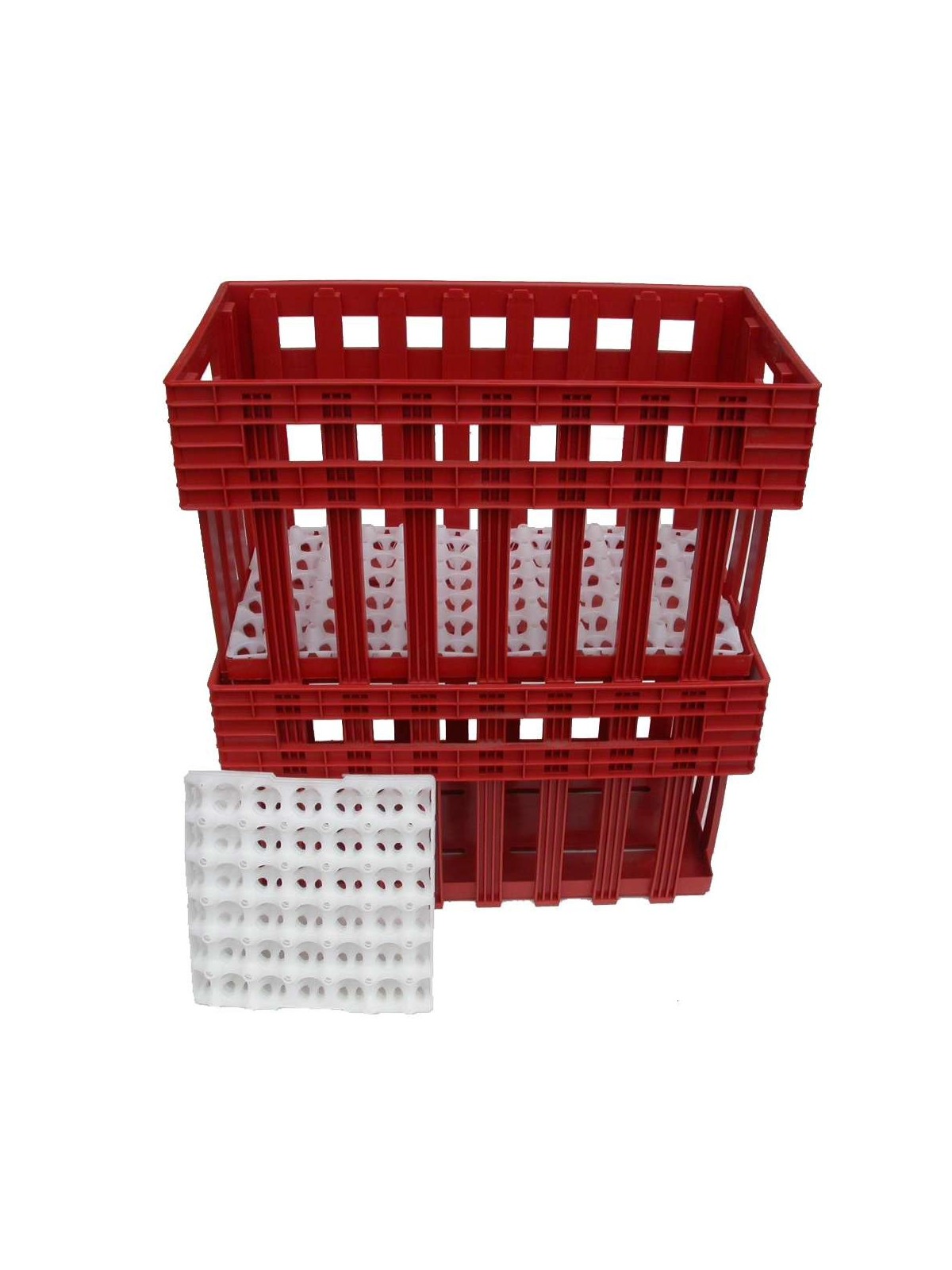 Caja transporte de huevos