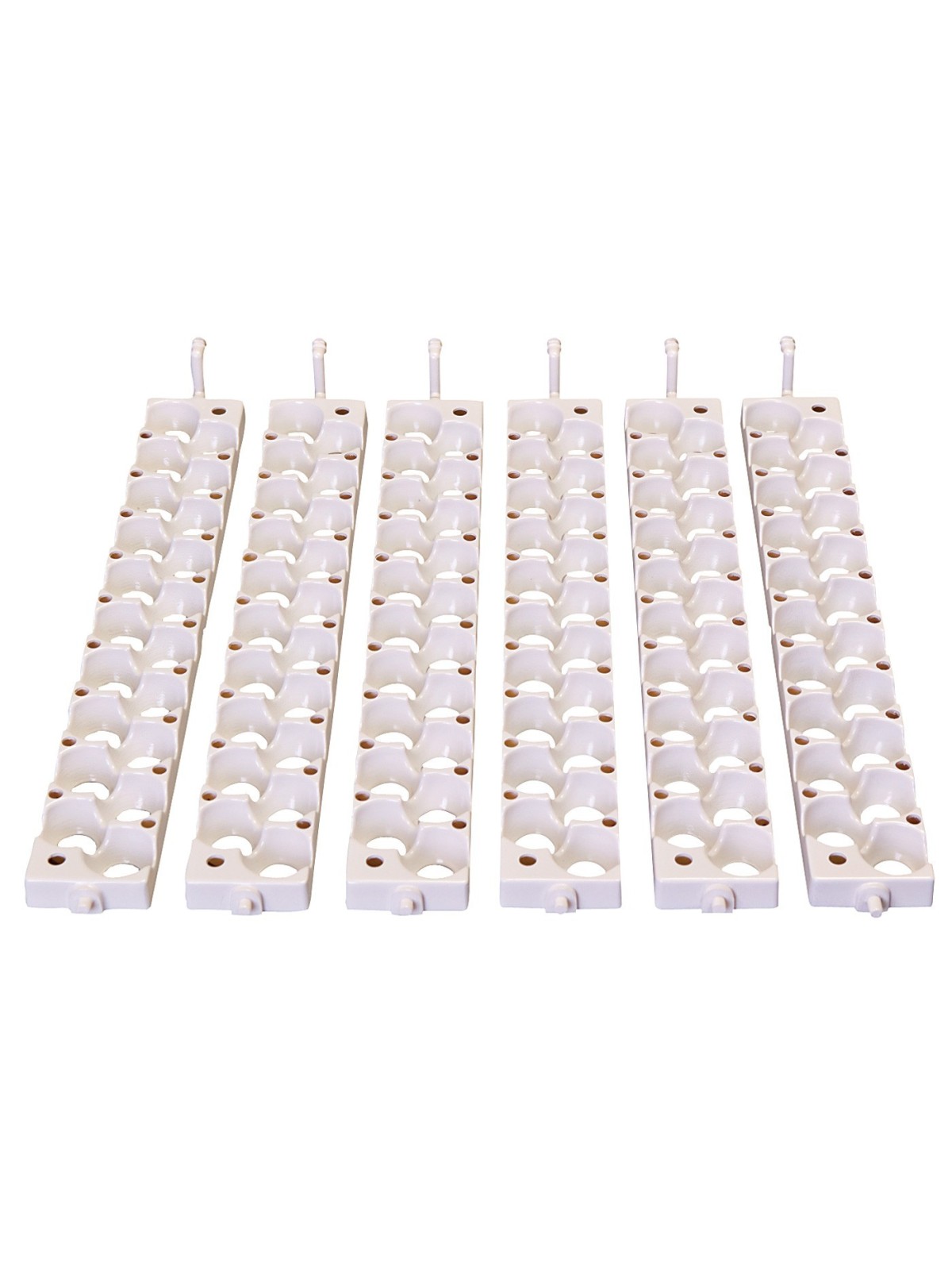 Bandejas para codorniz