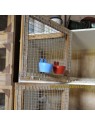 Comedero/bebedero para exposiciones de avicultura