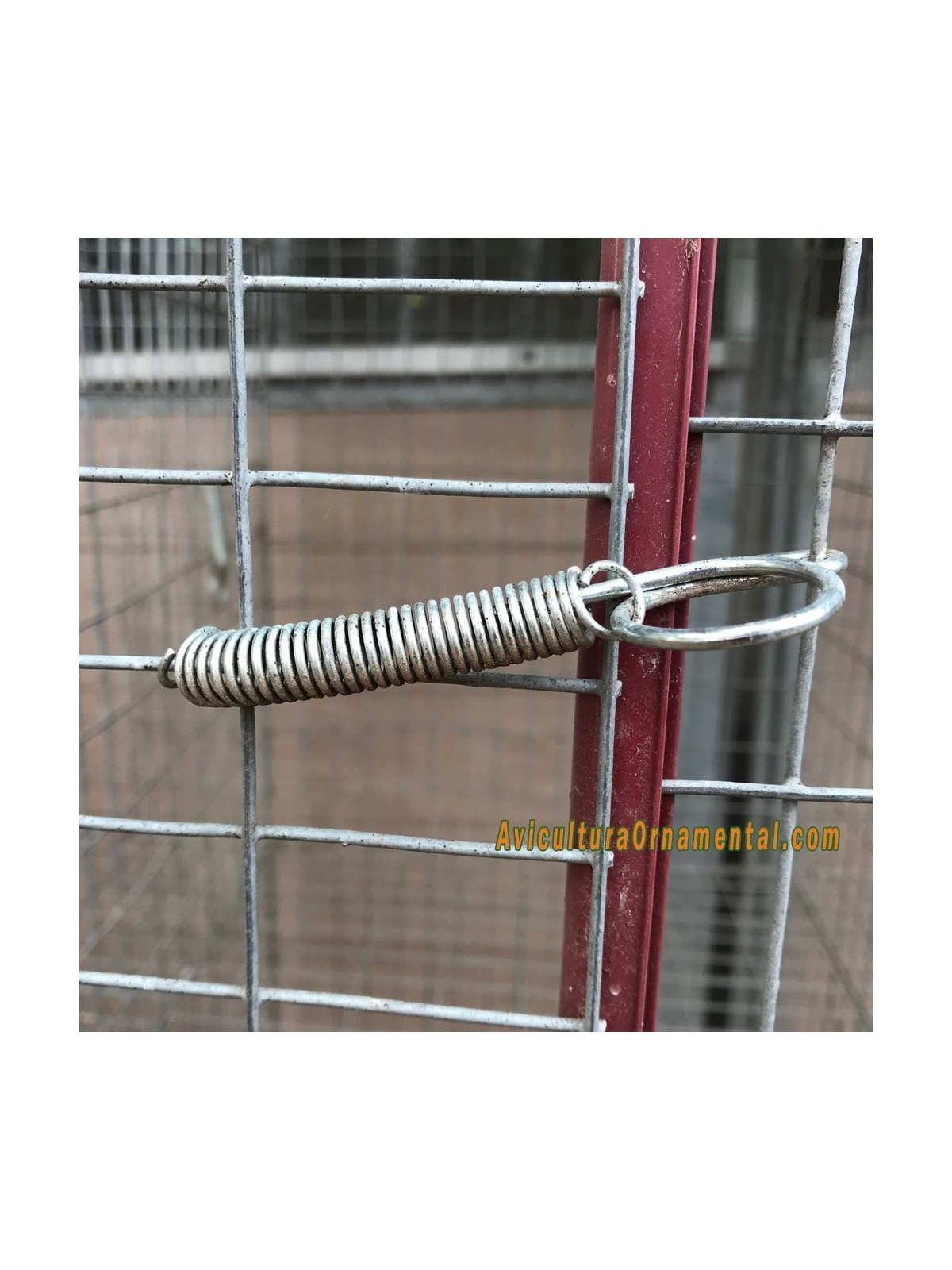 Muelle galvanizado para puertas de jaula