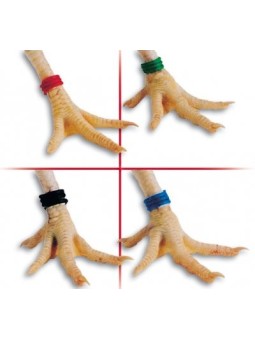 Marca para gallinas en espiral