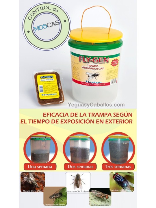 Oferta Fly-Gen trampa atrapamoscas más cebo