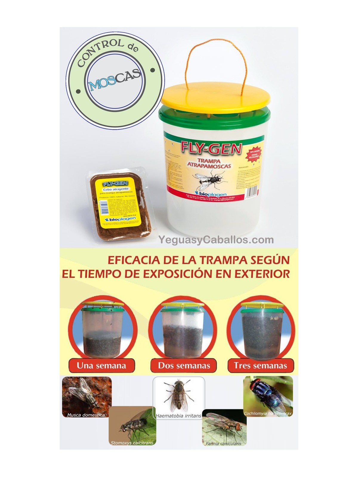 Oferta Fly-Gen trampa atrapamoscas más cebo