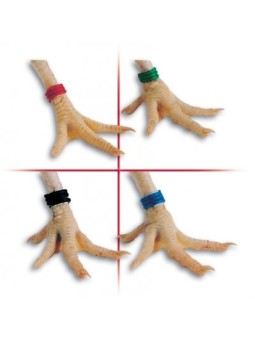 Marca para palomas en espiral