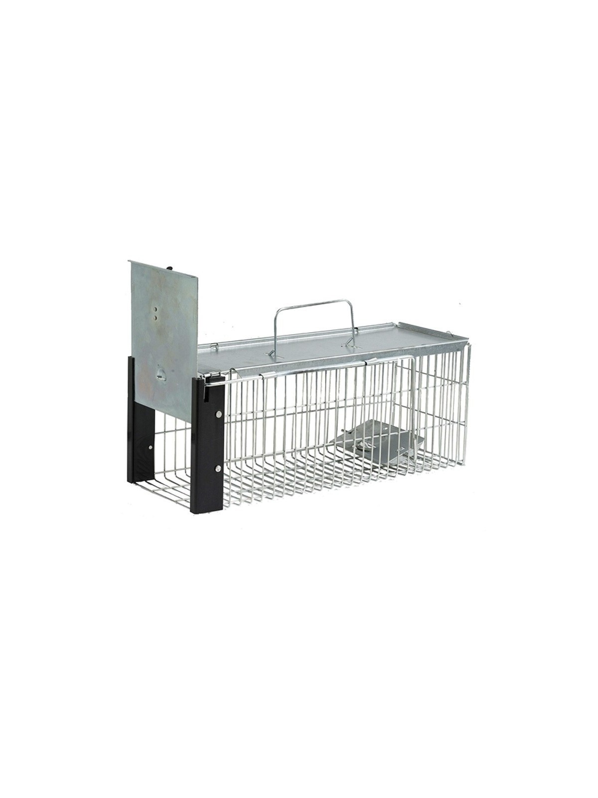 Jaula trampa para ratas 41 cm