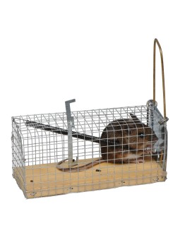 Jaula-trampa para ratones 12 cm económica