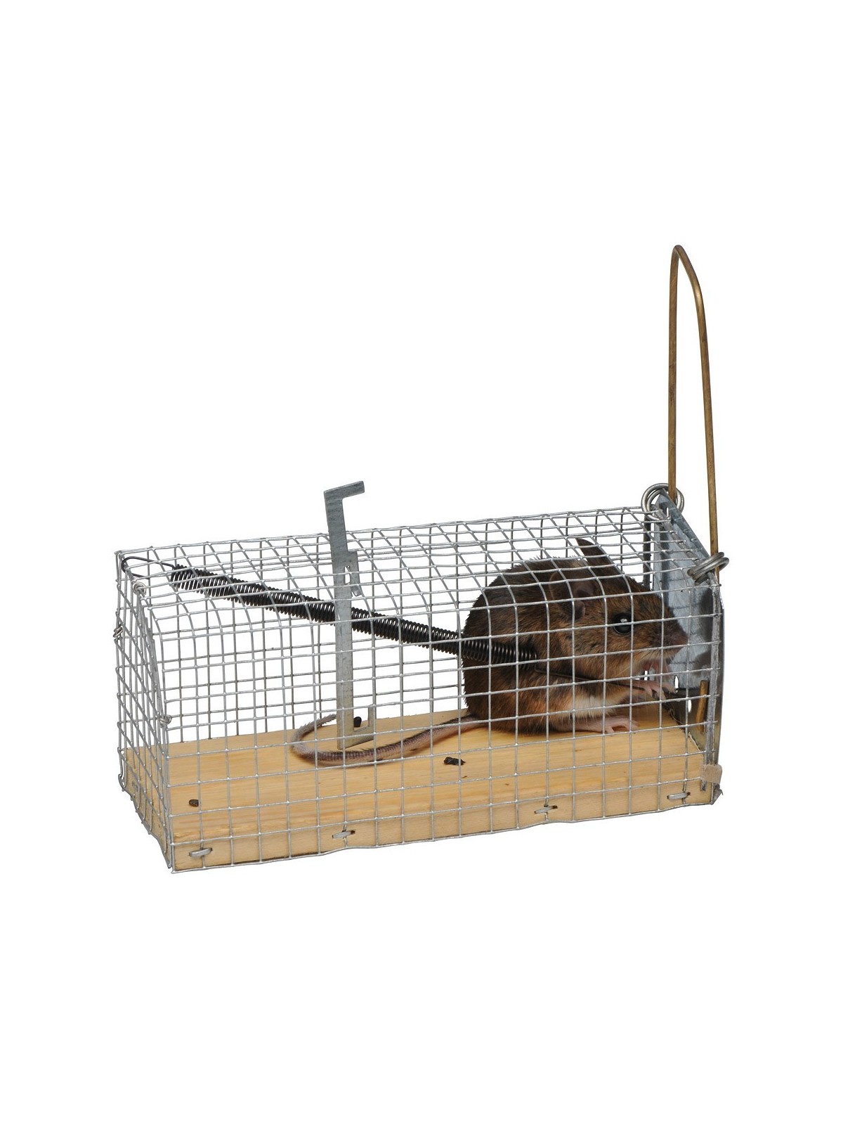 Jaula-trampa para ratones 12 cm económica