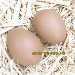 Huevos falsos antipicaje cerámica para gallinas ponedoras