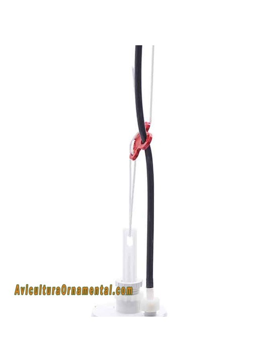 Bebedero automático para pollos