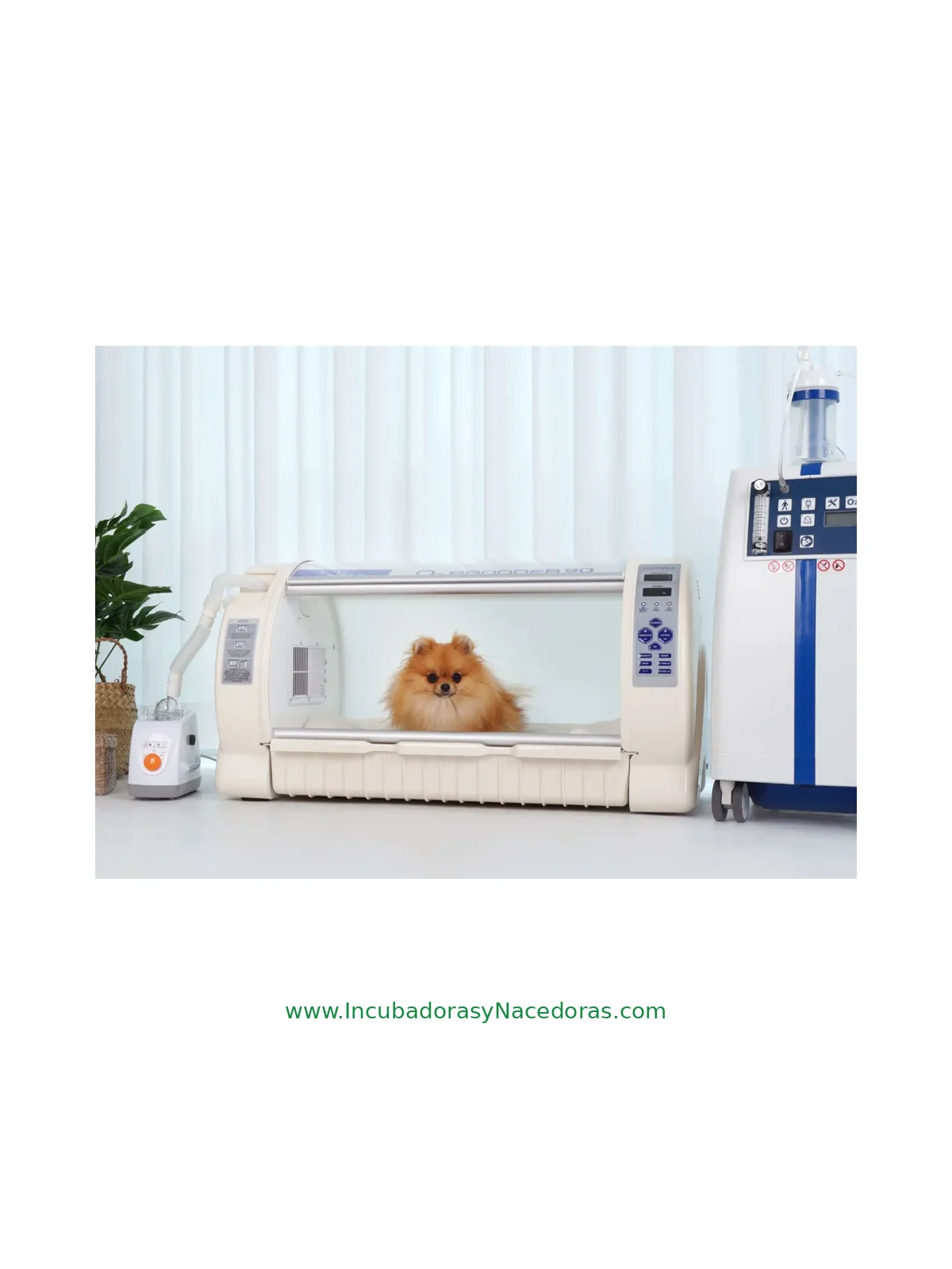 Criadora UCI Curadle Pet O2 Brooder 90