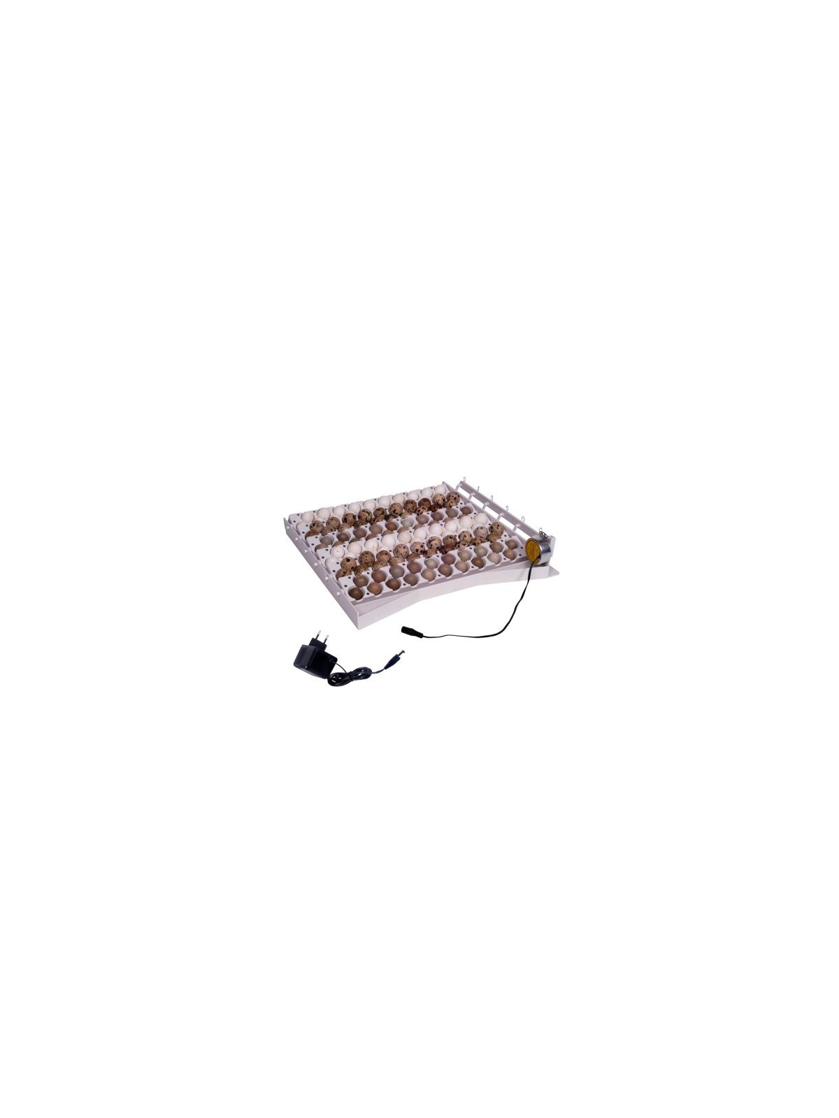 Sistema automático de volteo para 42 huevos con 6 bandejas