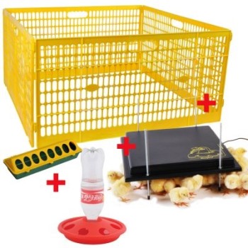 Kit cría parque