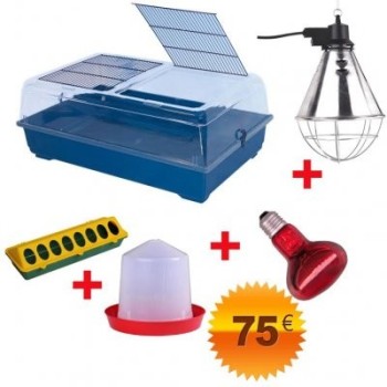 Kit para la cría de pollitos