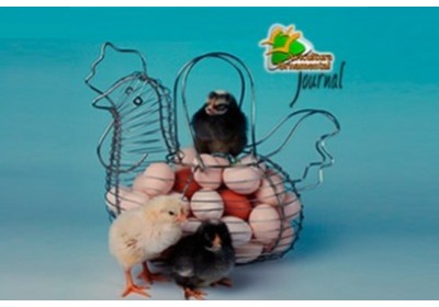 Revista descargable Avicultura Ornamental Journal