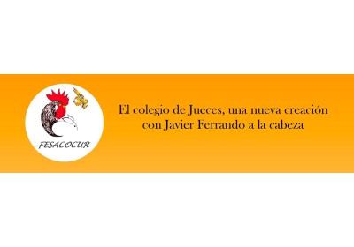 El colegio de Jueces de Fesacocur