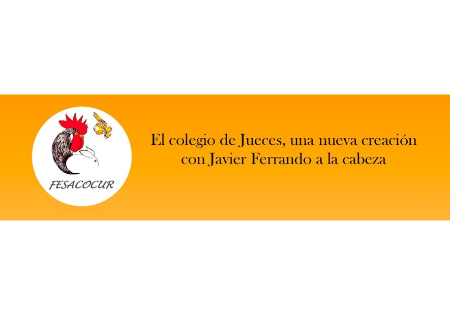 El colegio de Jueces de Fesacocur