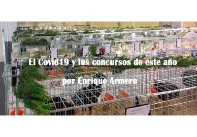 El Covid19 y los concursos de este año 2020