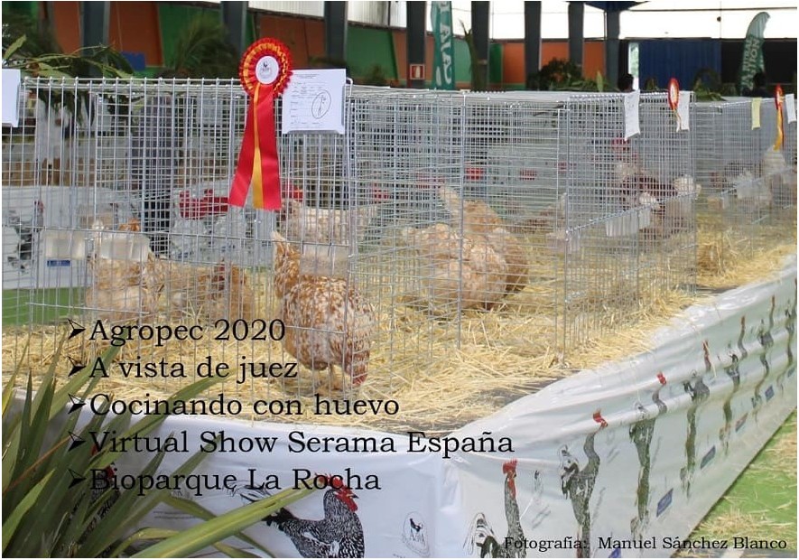 Exposiciones Avícolas