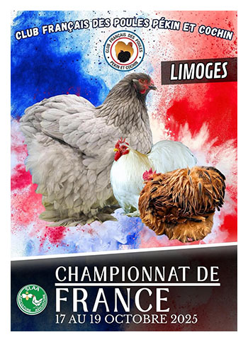 Exposición Limoges 2025