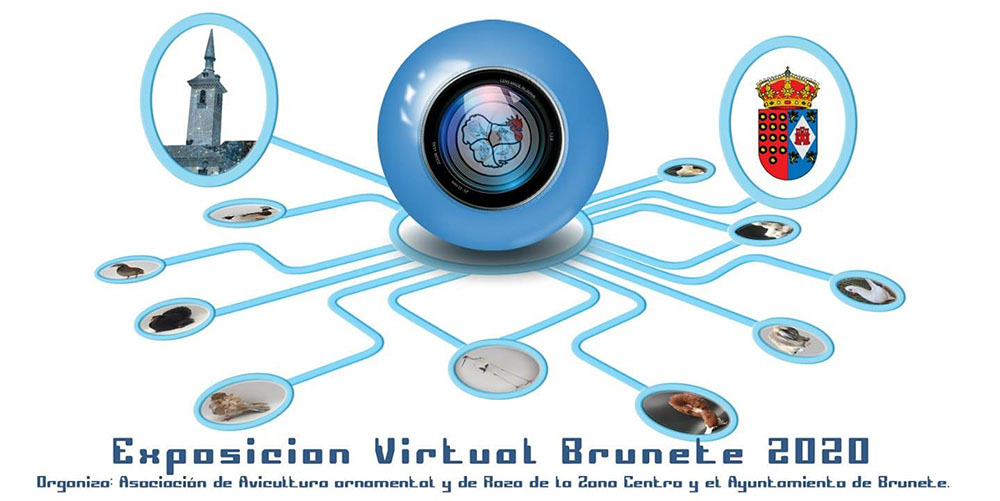 Exposición virtual Brunete