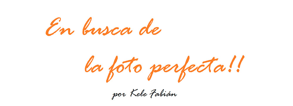 Foto perfecta aves de corral