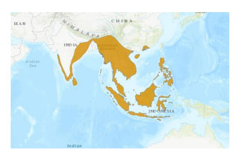 Indonesia