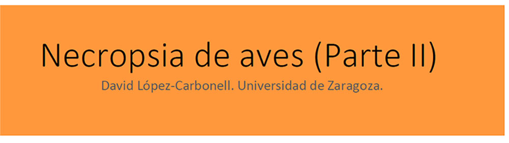 Necropsia de aves Parte II
