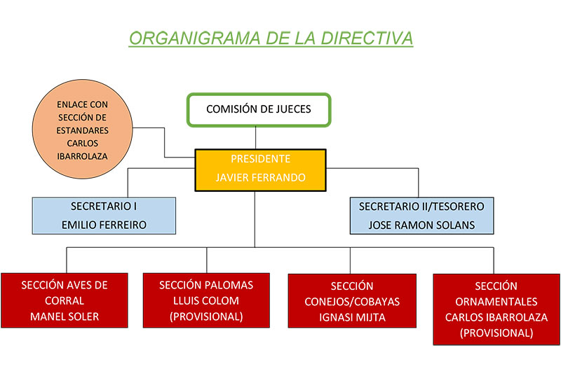 Organigrama jueces Fesacocur