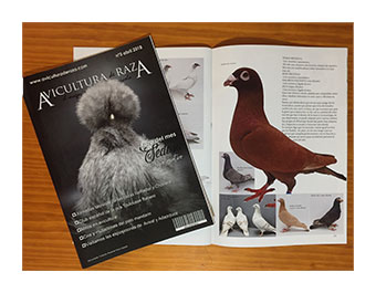 Revista Avicultura de Raza