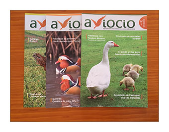 Revista Aviocio