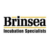 Brinsea