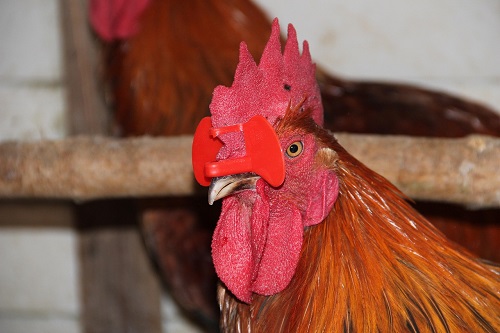 ACCESORIOS DE MANEJO