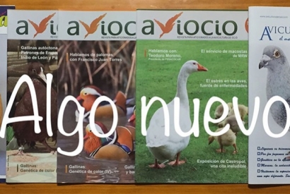 La nueva Revista Digital del Mundo Avícola